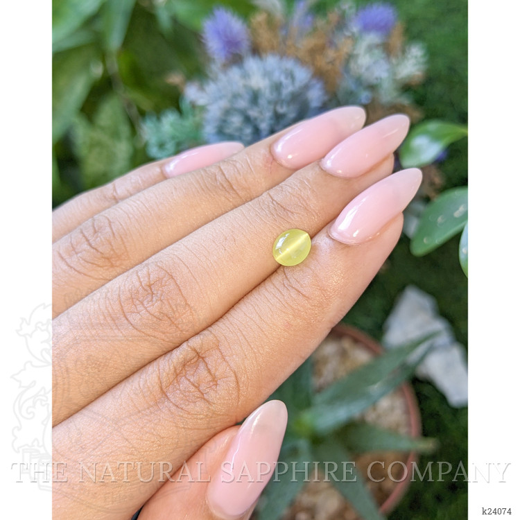 1.47 Ct. Greenish Yellow Cabochon Chrysoberyl from Tanzania