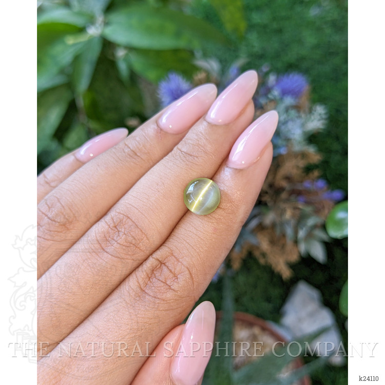 5.00 Ct. Greenish Yellow Cabochon Chrysoberyl from Ceylon (Sri Lanka)