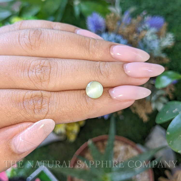 1.80 Ct. Yellowish Green Cabochon Chrysoberyl from Ceylon (Sri Lanka)