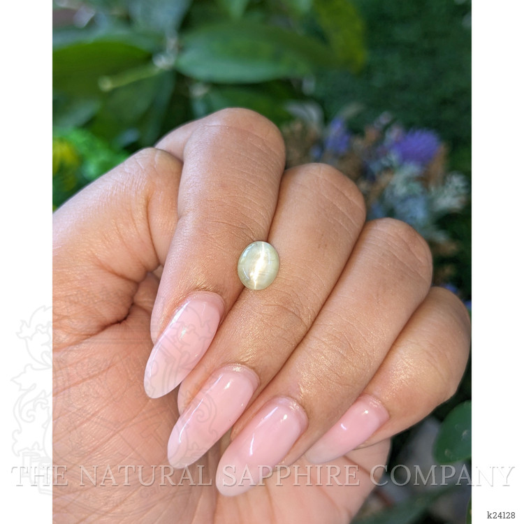 1.90 Ct. Yellowish Green Cabochon Chrysoberyl from Ceylon (Sri Lanka)