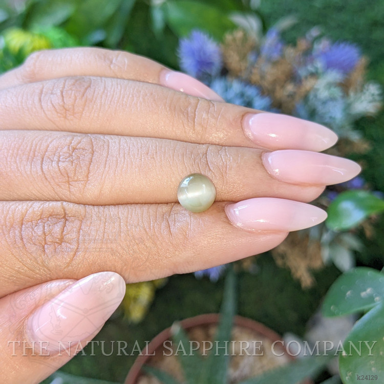 2.34 Ct. Green Cabochon Chrysoberyl from Ceylon (Sri Lanka)