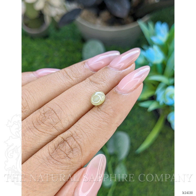1.71 Ct. Greenish Yellow Cabochon Chrysoberyl from Ceylon (Sri Lanka)