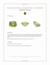4.50 Ct. Yellowish Green Zircon from Ceylon (Sri Lanka) Appraisal