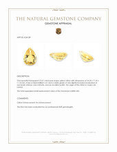 23.67 Ct. Yellow Citrine from Ceylon (Sri Lanka) Appraisal