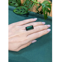 18.70 Ct. Greenish Blue Tourmaline from Brazil Life Style
