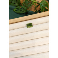 10.36 Ct. Green Tourmaline from Brazil Life Style