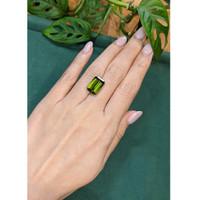 10.36 Ct. Green Tourmaline from Brazil Life Style