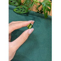 10.36 Ct. Green Tourmaline from Brazil Life Style