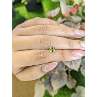 1.18 Ct. Greenish Yellow Chrysoberyl from Ceylon (Sri Lanka) Life Style