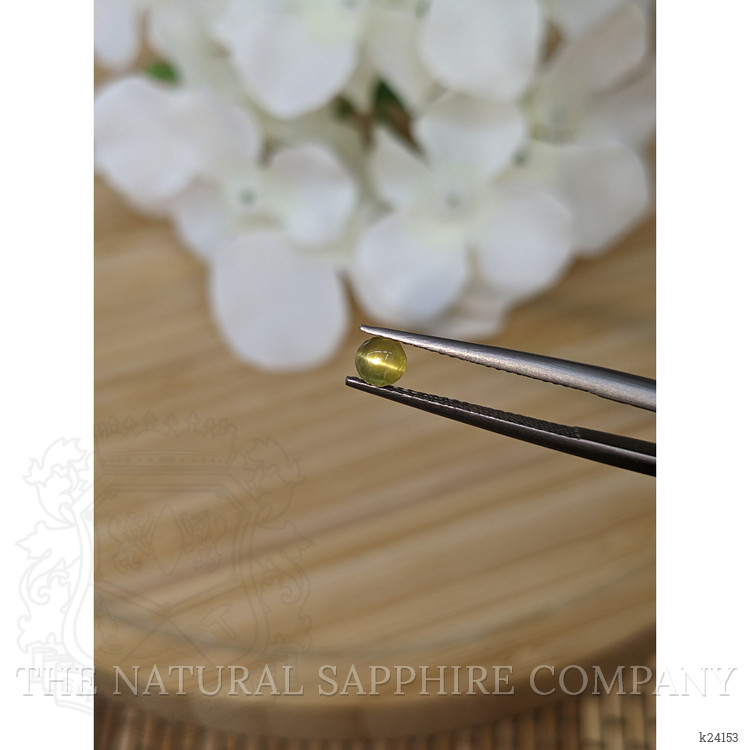 0.65 Ct. Greenish Yellow Cabochon Chrysoberyl from Ceylon (Sri Lanka)
