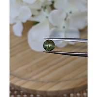 1.85 Ct. Cabochon Alexandrite from Ceylon (Sri Lanka) Life Style