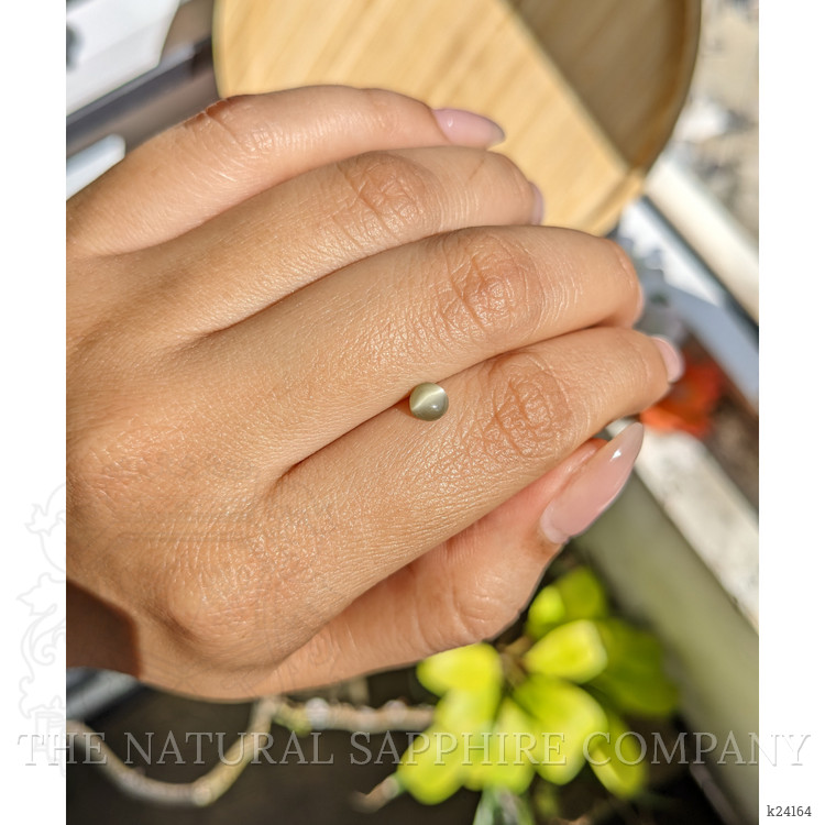 0.70 Ct. Yellowish Green Cabochon Chrysoberyl from Ceylon (Sri Lanka)