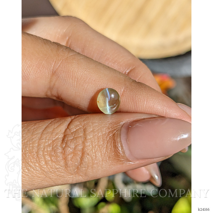 1.25 Ct. Greenish Yellow Cabochon Chrysoberyl from Ceylon (Sri Lanka)