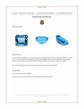 7.84 Ct. Swiss Blue Topaz from Ceylon (Sri Lanka) Appraisal