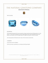 8.54 Ct. Swiss Blue Topaz from Ceylon (Sri Lanka) Appraisal