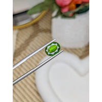 1.46 Ct. Chrome Diopside from Brazil Life Style