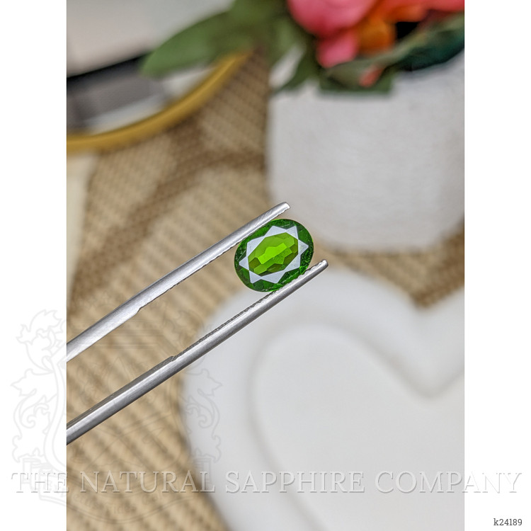 1.46 Ct. Chrome Diopside from Brazil