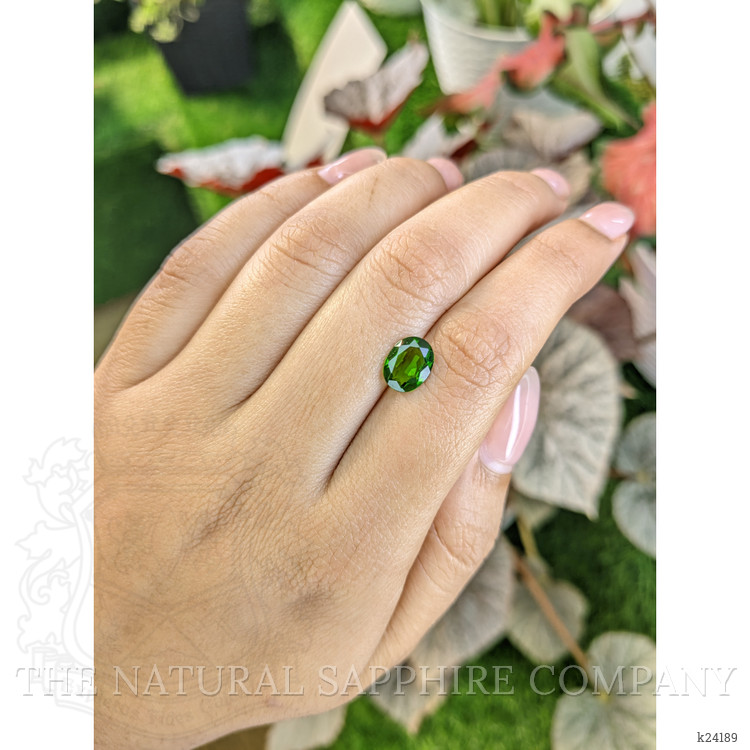1.46 Ct. Chrome Diopside from Brazil