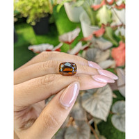 8.53 Ct. Brownish Orange Tourmaline from Ceylon (Sri Lanka) Life Style