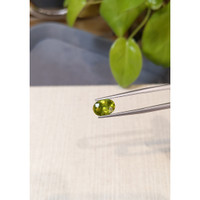 2.62 Ct. Yellowish Green Sphene (Titanite) from Madagascar Life Style