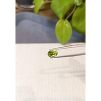 2.72 Ct. Yellowish Green Sphene (Titanite) from Madagascar Life Style