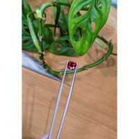 2.46 Ct. Purplish Pink Garnet from Tanzania Life Style