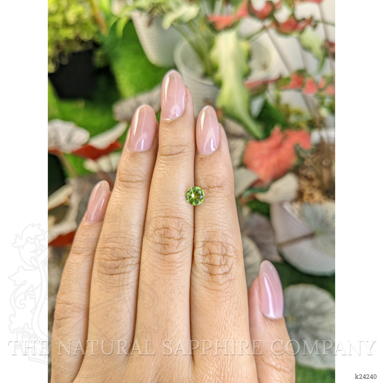 0.75 Ct. Yellowish Green Peridot from Pakistan