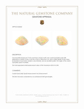 19.03 Ct. Multi Color Cabochon Crystal Opal (Jelly Opal) from Australia Appraisal