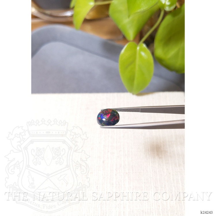 3.92 Ct. Multi Color Cabochon Black Opal from Ethiopia