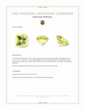 11.30 Ct. Greenish Yellow Citrine Appraisal