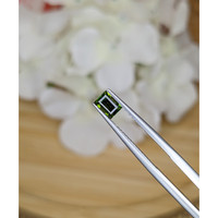 0.56 Ct. Green Tourmaline from Ceylon (Sri Lanka) Life Style