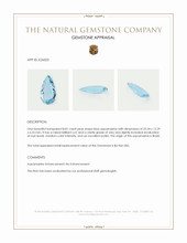 8.81 Ct. Blue Aquamarine from Brazil Appraisal