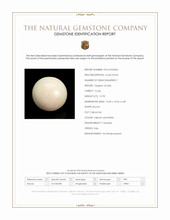 10.78 Ct. Salmon and White Cabochon Coral from Italy Scan Report