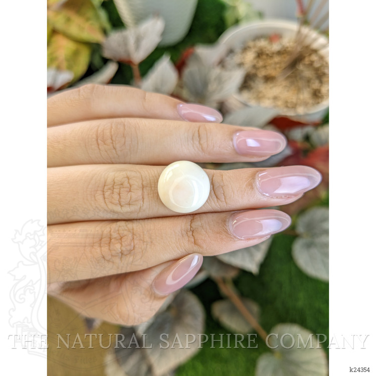 10.78 Ct. Salmon and White Cabochon Coral from Italy