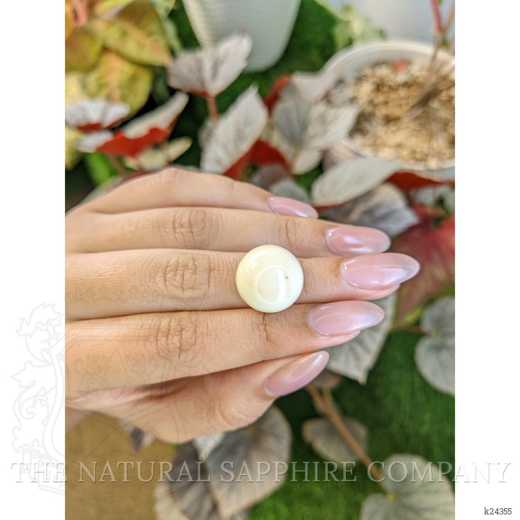 20.84 Ct. Salmon and White Cabochon Coral from Italy