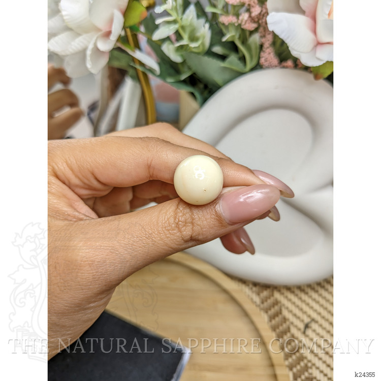 20.84 Ct. Salmon and White Cabochon Coral from Italy
