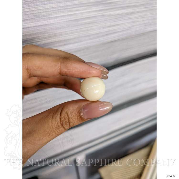 20.84 Ct. Salmon and White Cabochon Coral from Italy