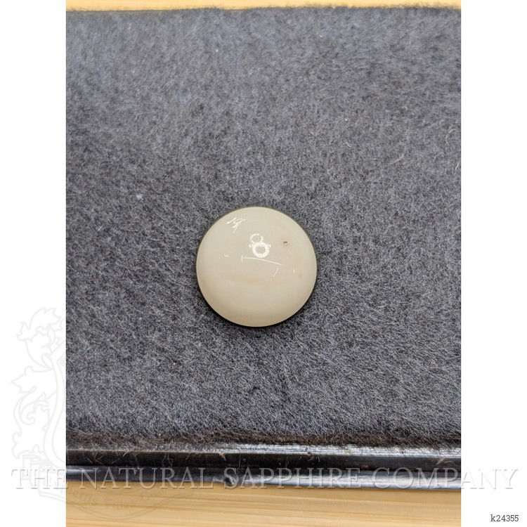20.84 Ct. Salmon and White Cabochon Coral from Italy