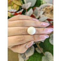 10.98 Ct. Salmon and White Cabochon Coral from Italy Life Style