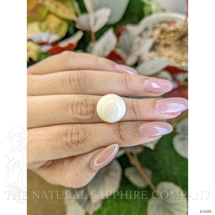 10.98 Ct. Salmon and White Cabochon Coral from Italy