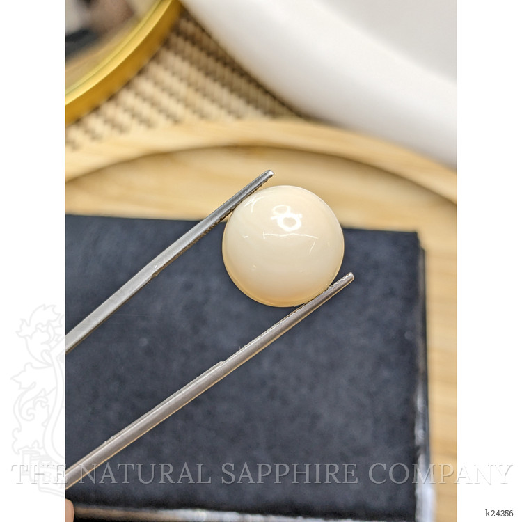 10.98 Ct. Salmon and White Cabochon Coral from Italy