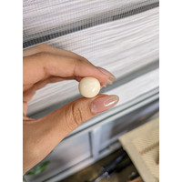 10.98 Ct. Salmon and White Cabochon Coral from Italy Life Style