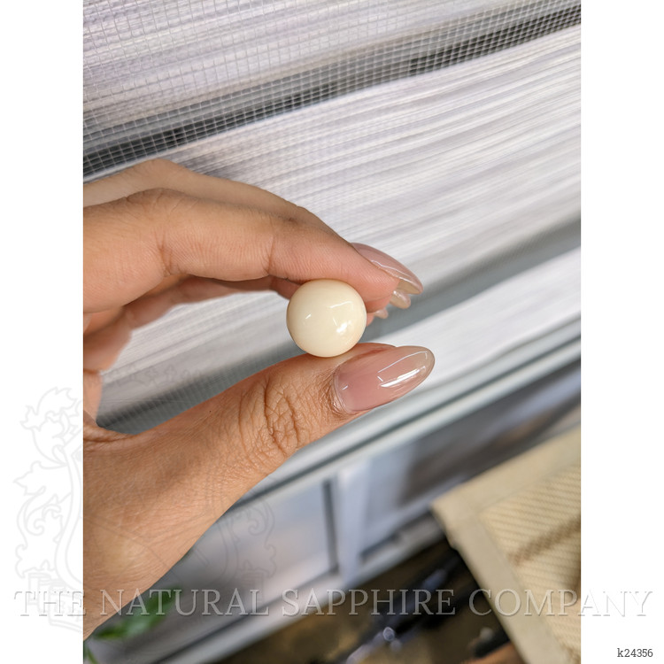 10.98 Ct. Salmon and White Cabochon Coral from Italy