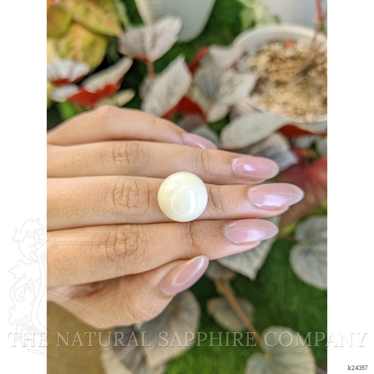 18.39 Ct. Salmon and White Cabochon Coral from Italy