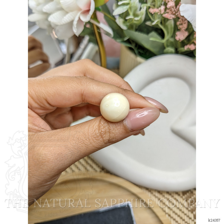 18.39 Ct. Salmon and White Cabochon Coral from Italy