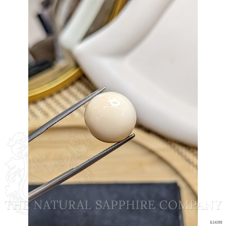11.43 Ct. Salmon and White Cabochon Coral from Italy