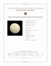 9.88 Ct. Salmon and White Cabochon Coral from Italy Scan Report