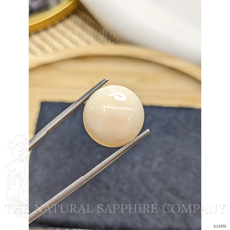 9.88 Ct. Salmon and White Cabochon Coral from Italy