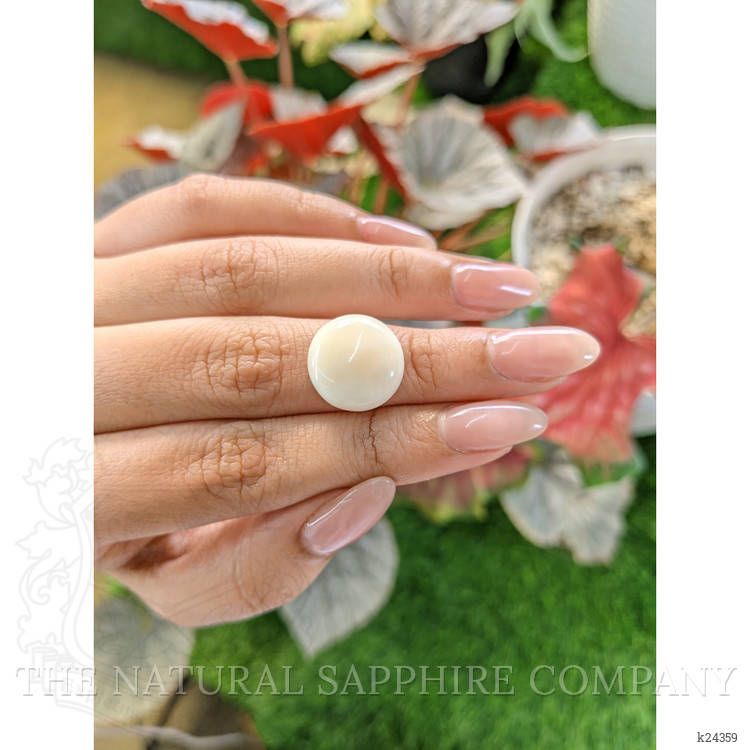 9.88 Ct. Salmon and White Cabochon Coral from Italy