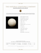 16.65 Ct. Salmon and White Cabochon Coral from Italy Scan Report
